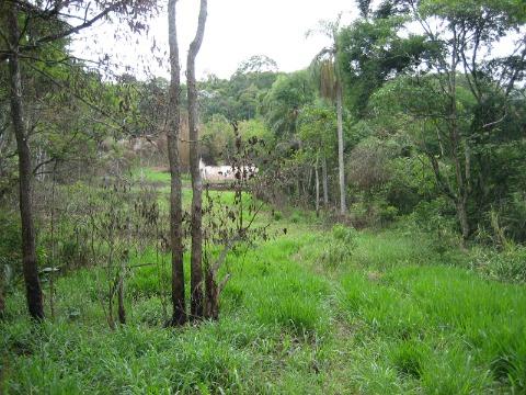 Casa, 1 quarto, 179000 m² - Foto 3