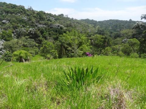 Casa, 1 quarto, 56898 m² - Foto 8