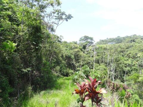 Casa, 1 quarto, 56898 m² - Foto 9