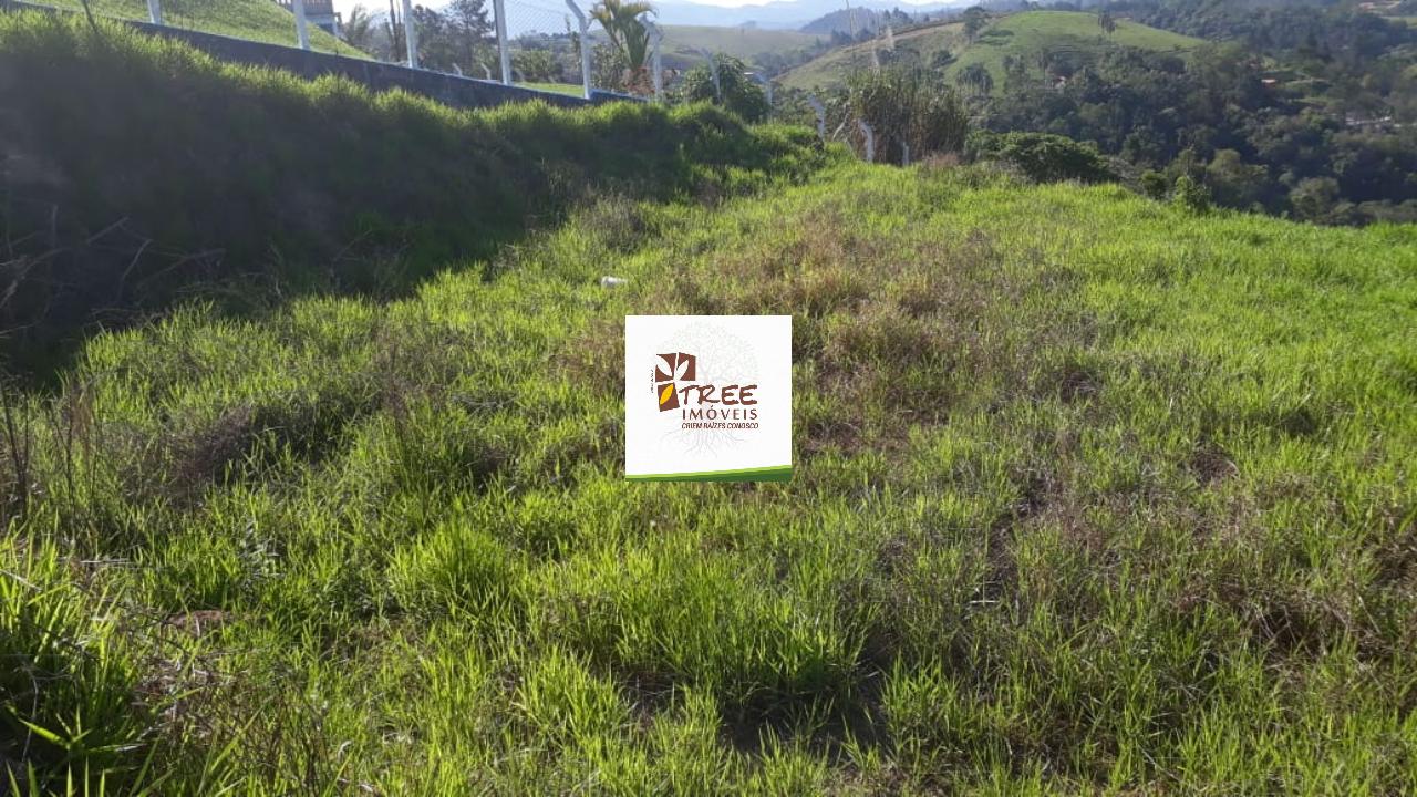 Terreno, 3085 m² - Foto 3