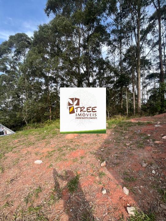 Terreno, 304 m² - Foto 3