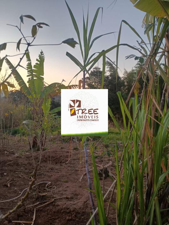 Terreno, 500 m² - Foto 2