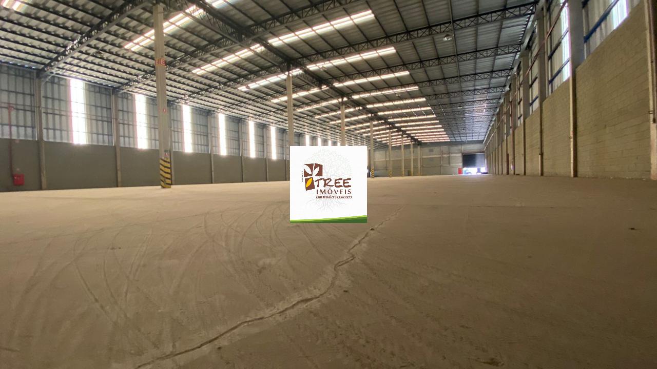 Depósito-Galpão, 5600 m² - Foto 13