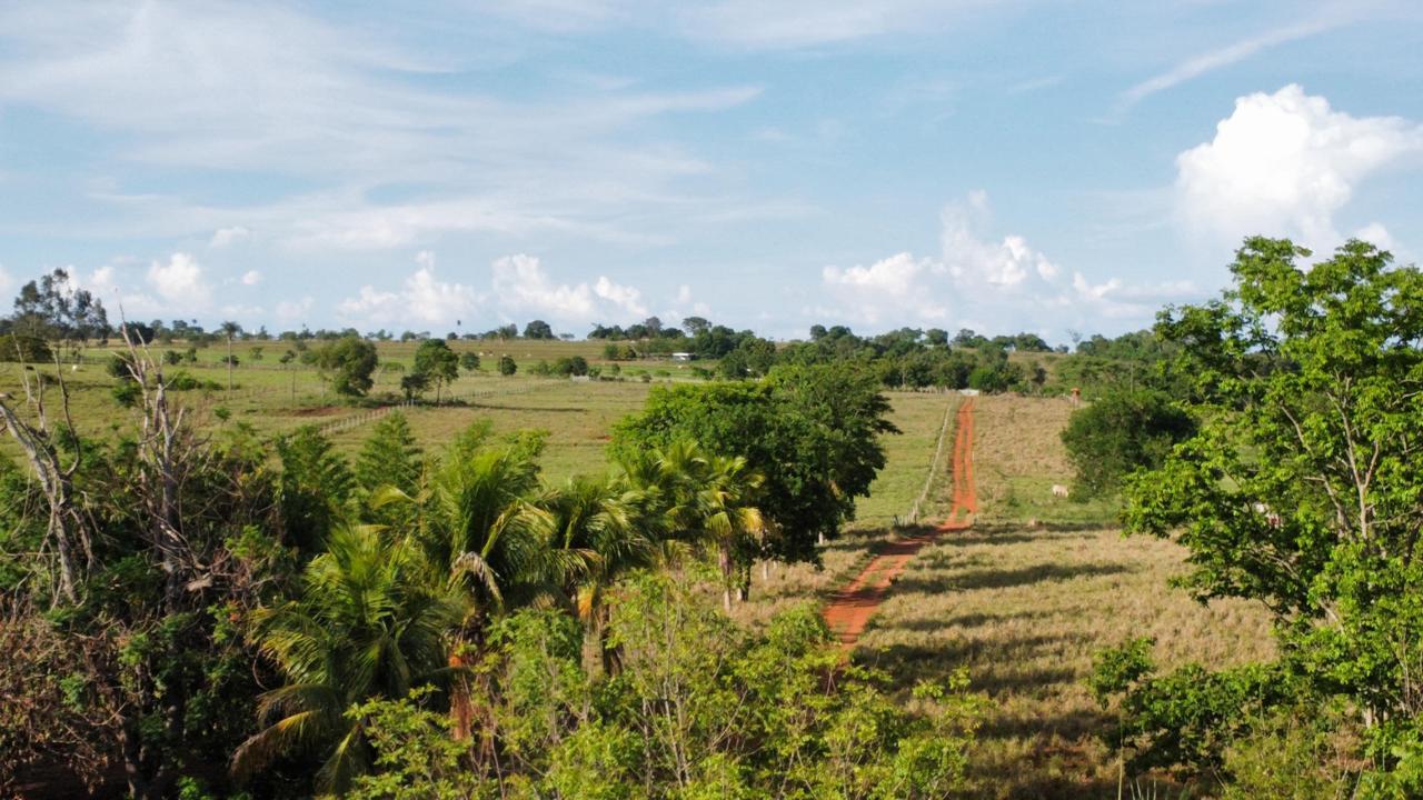 Chácara, 7 quartos, 9 hectares - Foto 4