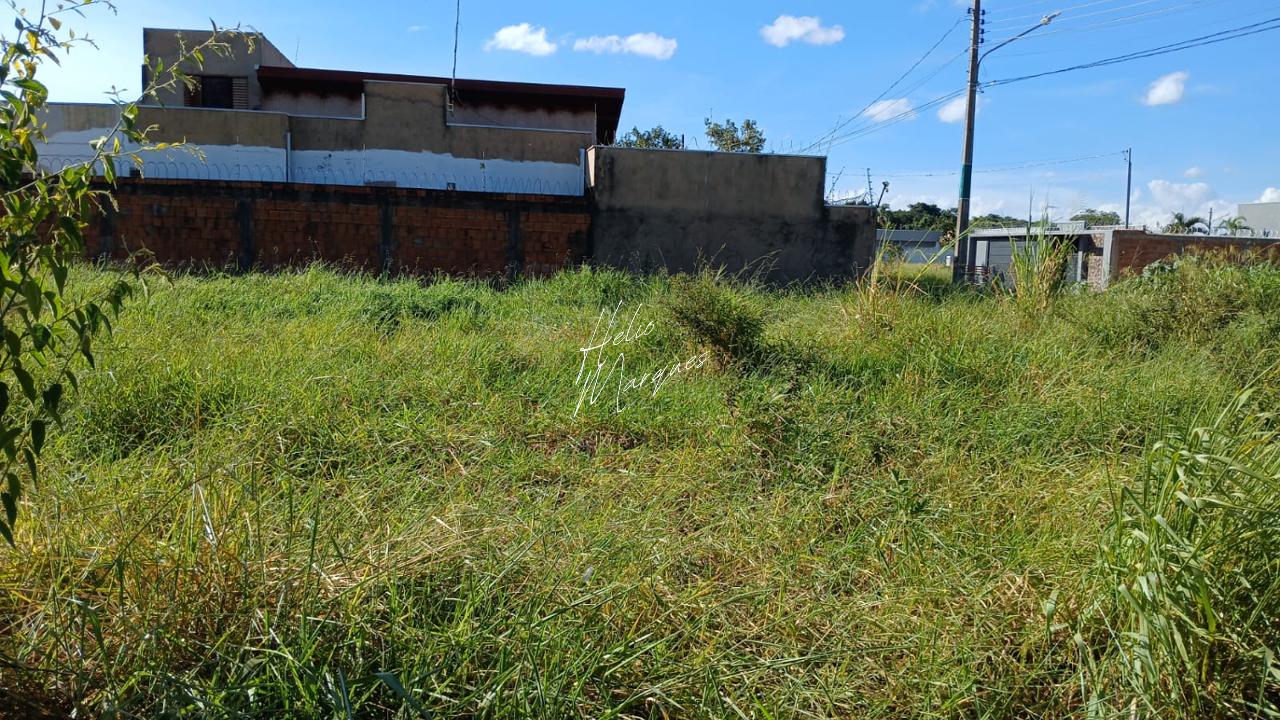 Terreno, 250 m² - Foto 4