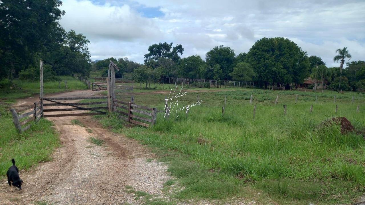 Fazenda, 98 hectares - Foto 2