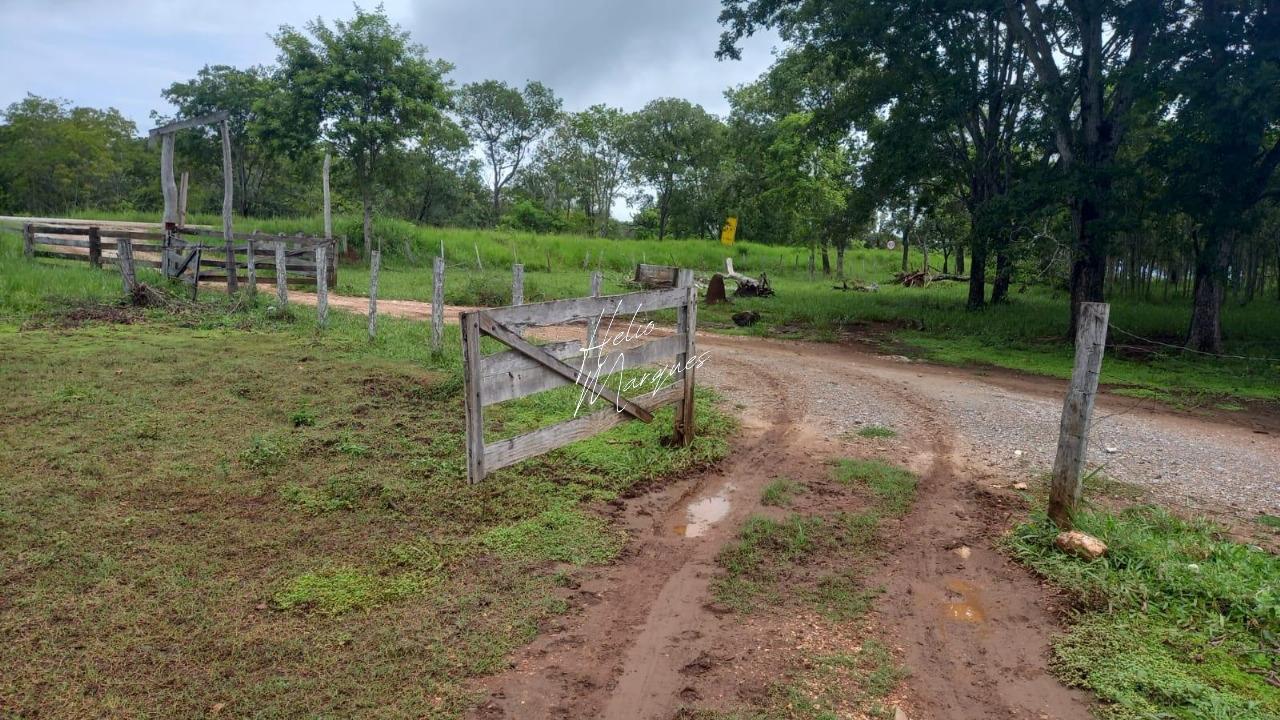 Fazenda, 98 hectares - Foto 1