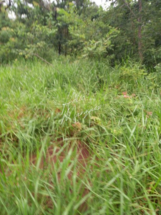 Fazenda, 98 hectares - Foto 5