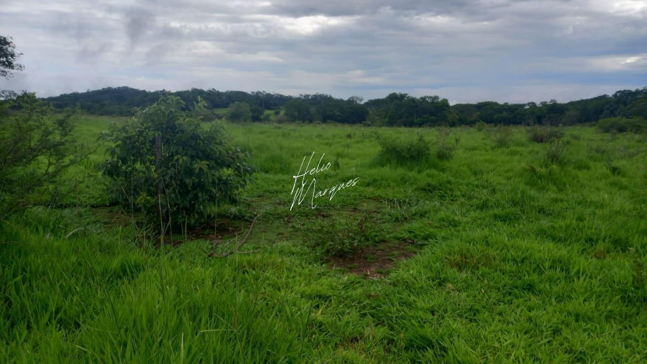 Fazenda, 98 hectares - Foto 3