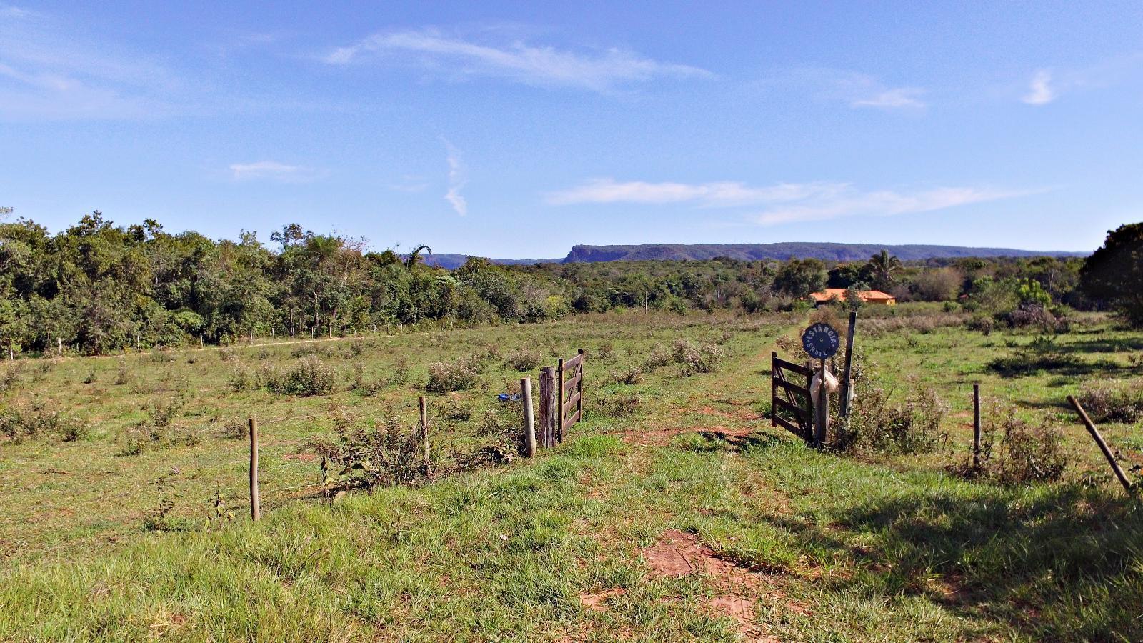 Casa, 4 quartos, 500 m² - Foto 3