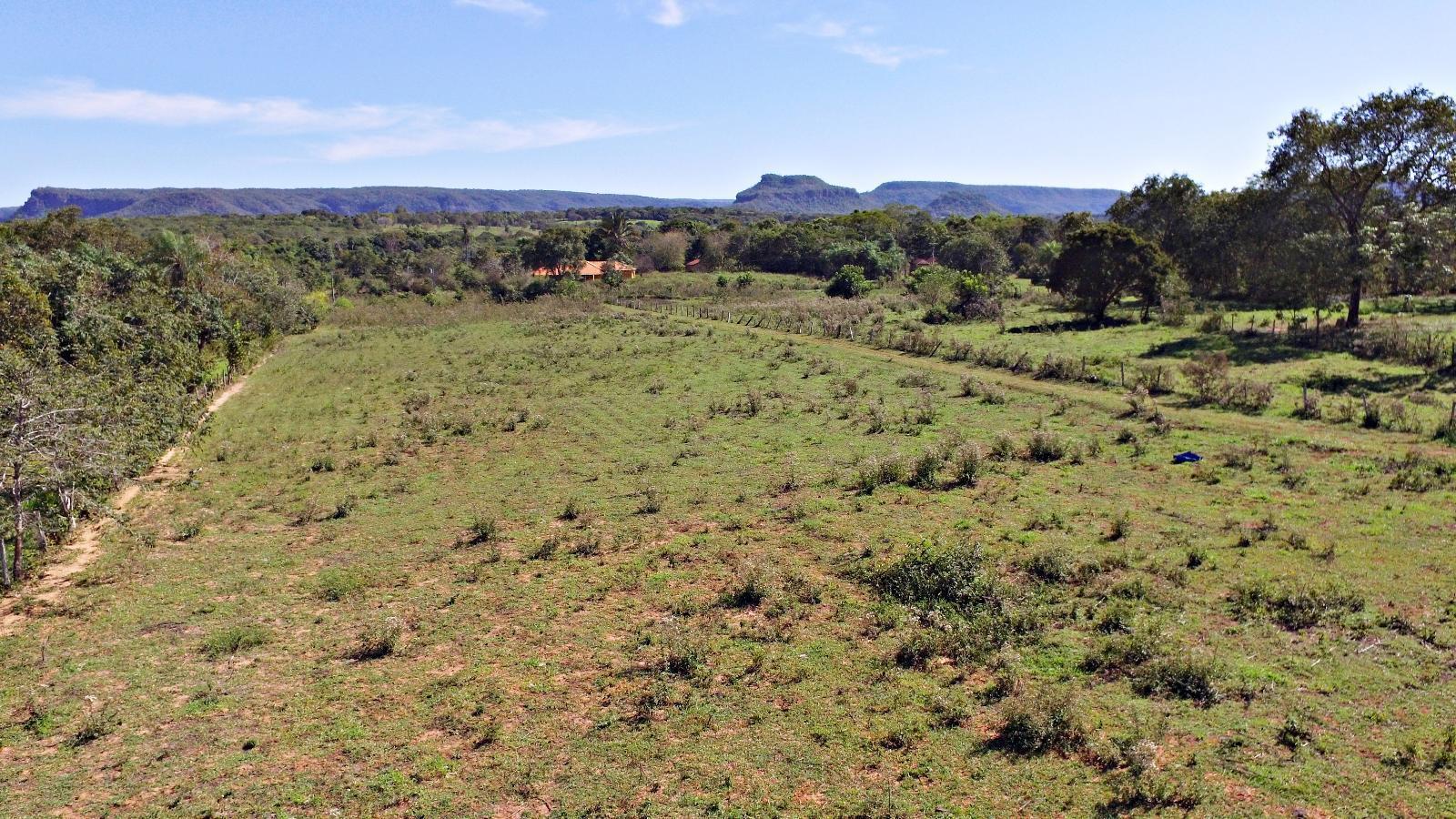 Casa, 4 quartos, 500 m² - Foto 4