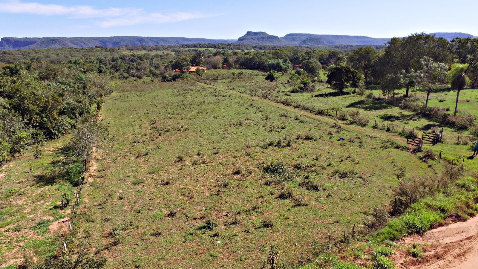 Casa, 4 quartos, 500 m² - Foto 5