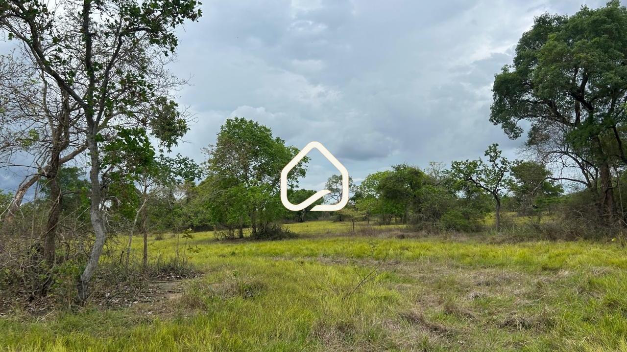 Fazenda-Sítio-Chácara, 10 m² - Foto 10