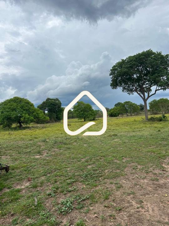 Fazenda-Sítio-Chácara, 10 m² - Foto 14