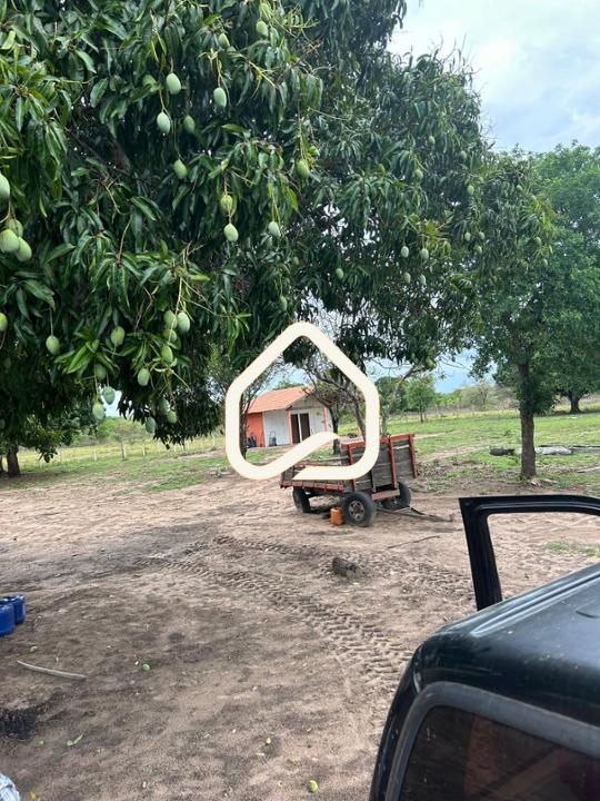 Fazenda-Sítio-Chácara, 10 m² - Foto 15