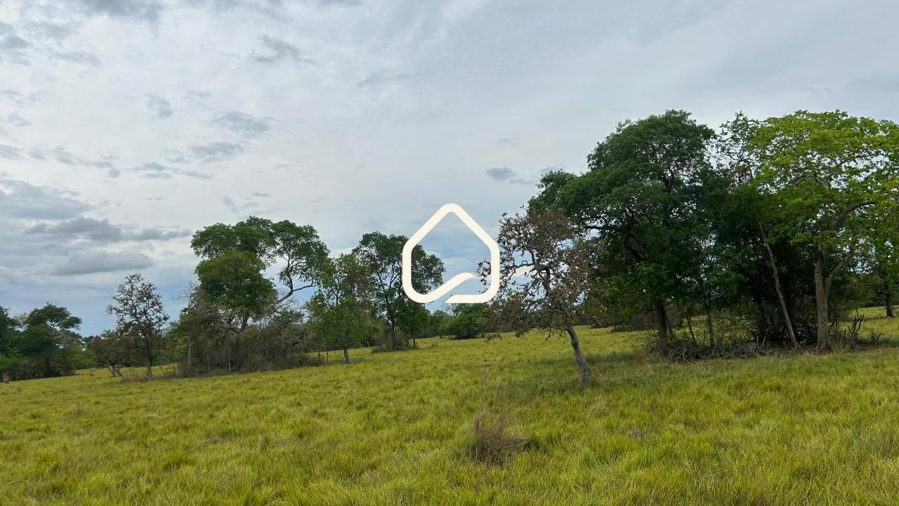 Fazenda-Sítio-Chácara, 10 m² - Foto 17